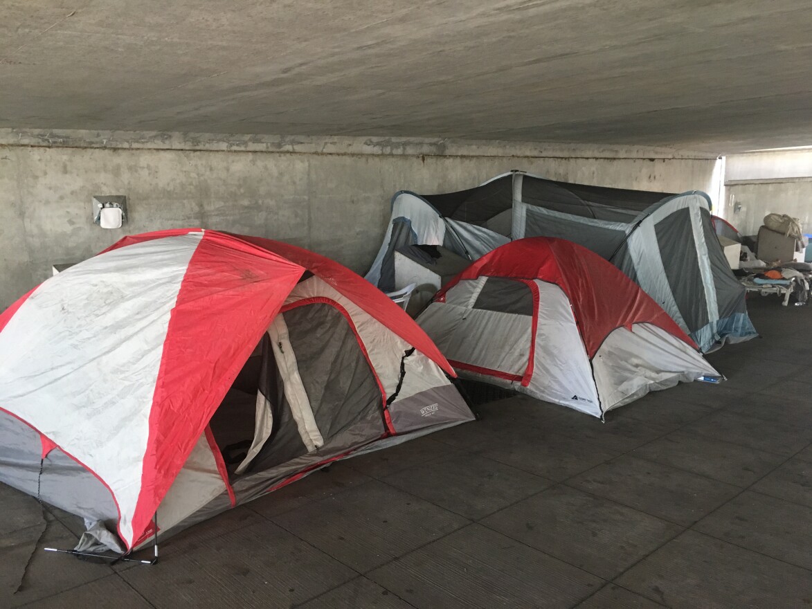 Dozens of tents line the camp under an overpass at Third and Plum streets in downtown Cincinnati near Paul Brown Stadium.